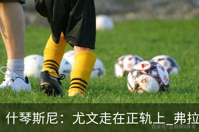 什琴斯尼：尤文走在正轨上 弗拉霍维奇非常出色